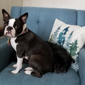 Fundraising Page: Terry Spurrier